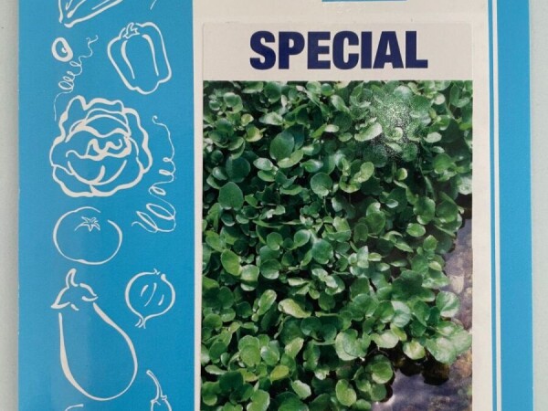 Salata Potočarka 1 gr.