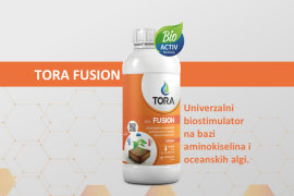 TORA FUSION