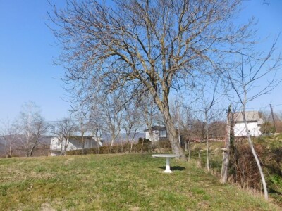 Predivan vinograd na zemljištu 3.975 m2 - Sveti Ivan Zelina