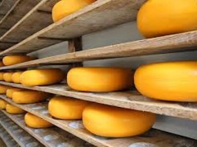 Zaštita i njega sira - premaz za sir