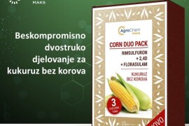 CORN DUO PACK