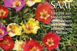 PRKOS Portulaca grandiflora