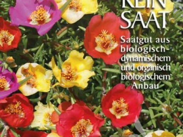 PRKOS Portulaca grandiflora