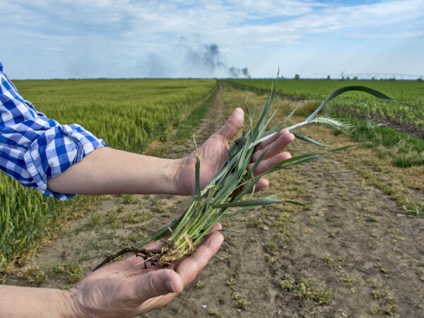Pro-eco zapošljava agronoma