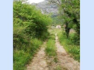 Prodaja poljoprivrednog zemljišta Konavle (Konavosko polje)