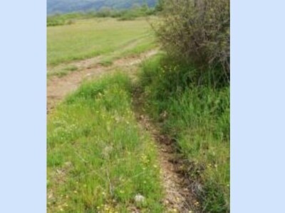 Prodaja poljoprivrednog zemljišta Konavle (Konavosko polje)