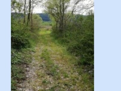 Prodaja poljoprivrednog zemljišta Konavle (Konavosko polje)