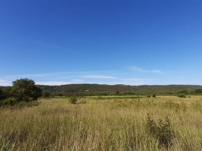 Prodaja poljoprivrednog zemljišta Konavle (Konavosko polje)