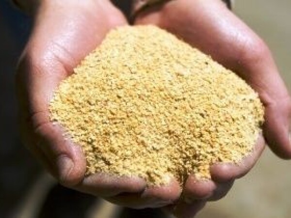 PRODAJA SOJINE SAČME GMO 46% proteina