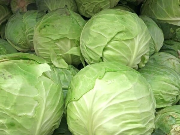 Prodaje se svježi kupus