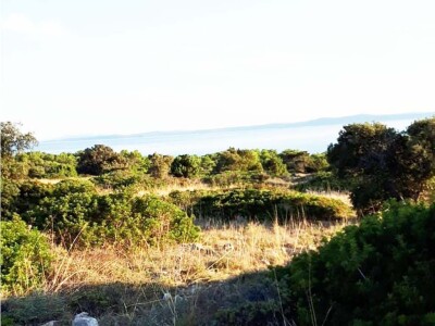 Prodaje se više poljoprivrednih terena na otoku Viru