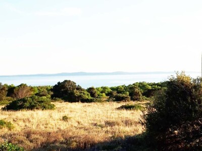 Prodaje se više poljoprivrednih terena na otoku Viru