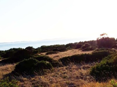 Prodaje se više poljoprivrednih terena na otoku Viru