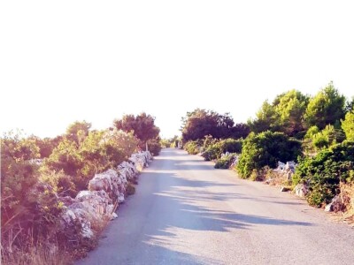 Prodaje se više poljoprivrednih terena na otoku Viru