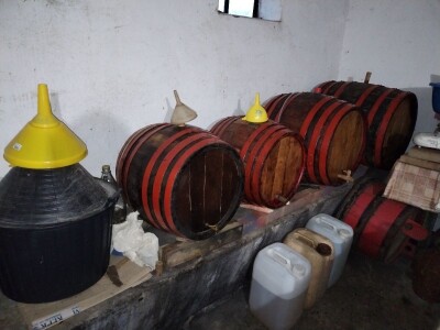 Prodajem domacu sljivovicu i lozu