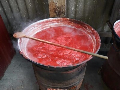 Prodajem kuvani paradajz