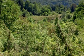 Prodajem OPG s poljoprivrednim zemljištem u Gorskom Kotaru