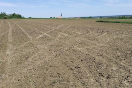 Prodajem (ili mijenjam) oranicu i voćnjak