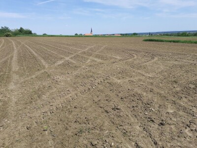 Prodajem (ili mijenjam) oranicu i voćnjak