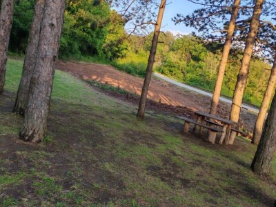 Prodajem plac na Fruskoj Gori