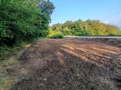 Prodajem plac na Fruskoj Gori