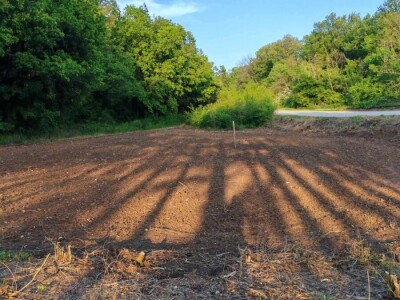 Prodajem plac na Fruskoj Gori