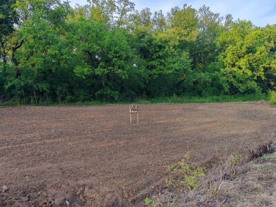 Prodajem plac na Fruskoj Gori