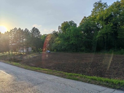 Prodajem plac na Fruskoj Gori