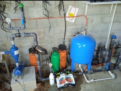 Prodajem plantazu borovnice