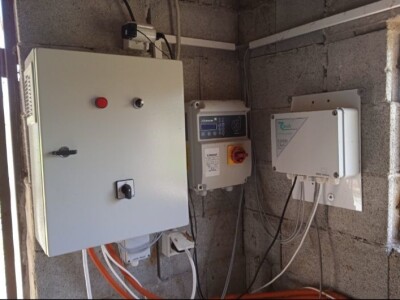 Prodajem plantazu borovnice