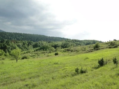 Prodajem poljoprivredno zemljište 10ha u Modrušu, općina Josipdol