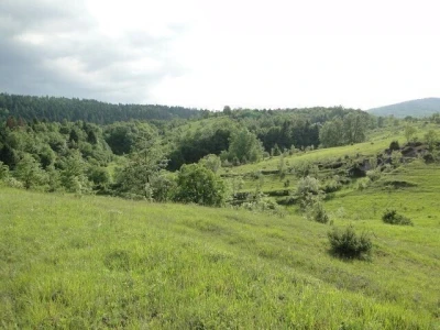 Prodajem poljoprivredno zemljište 10ha u Modrušu, općina Josipdol