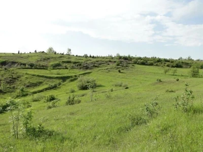 Prodajem poljoprivredno zemljište 10ha u Modrušu, općina Josipdol