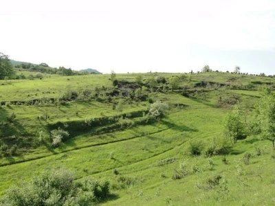 Prodajem poljoprivredno zemljište 10ha u Modrušu, općina Josipdol