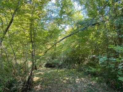 Prodajem poljoprivredno zemljište u Istri, selo Radmani