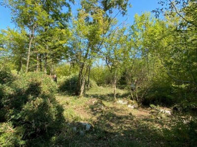 Prodajem poljoprivredno zemljište u Istri, selo Radmani