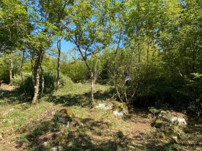 Prodajem poljoprivredno zemljište u Istri, selo Radmani