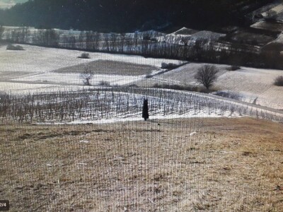 Prodajem  poljoprivredno zemljište Vukanci, Mače,  Krapinsko zagorska županija
