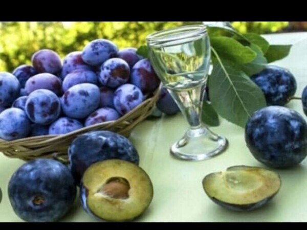 Prodajem rakiju od sljive