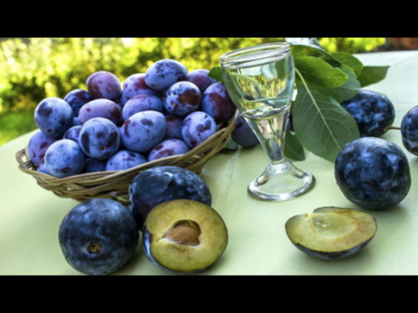 Prodajem rakiju od sljive, kajsije i dunje