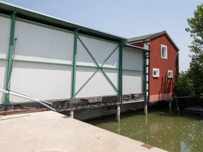 Prodajem voćnjak u Topoli Šumadija