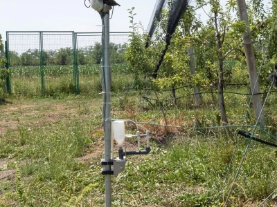Prodajem voćnjak u Topoli Šumadija