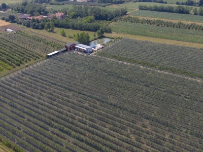Prodajem voćnjak u Topoli Šumadija