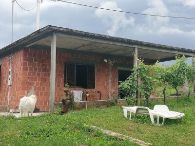 Prodajemo vinograd ( posađena sorta Chardonnay i Cabernet Sauvignon) i vikendicu ukupne površine 5460 kvadrata