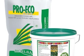 Proeco 5:10:10