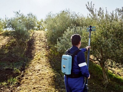 PROFESIONALNI TRESAČ MASLINA ALICE ECO (150/220)