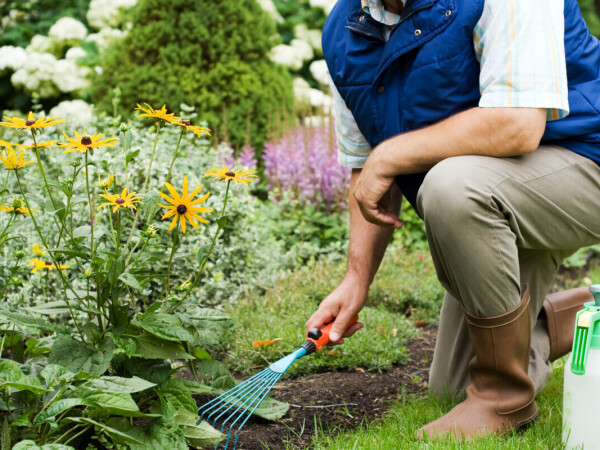Program osposobljavanja za jednostavne poslove u zanimanju Vrtlar
