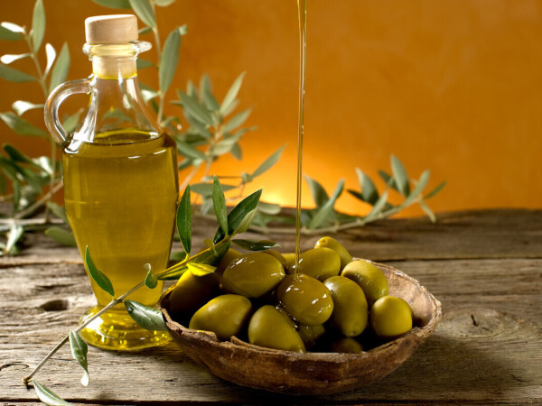 Program osposobljavanja za poslove maslinara