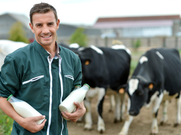 Postani mljekar i sirar! Prijavi se na edukaciju, upisi u tijeku!