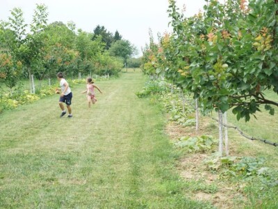 Prolećni dnevni izlet
